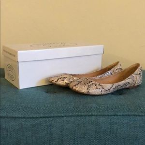 Steve Madden flats